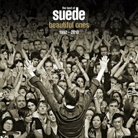 To the Birds - Suede