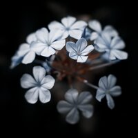 Interconnected - Music For Absolute Sleep, Happy Baby Lullaby Collection, Lullabies for Deep Meditation