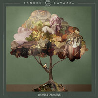 Shades In The Rain - Sandro Cavazza