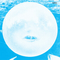 Nothing'severgonnastandinmyway (Again) - Wilco