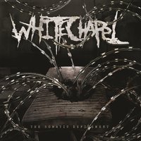 Devirgination Studies - Whitechapel