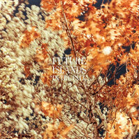 Virgo Distracts - Future Islands