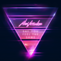 Say You Feel the Same - New Arcades