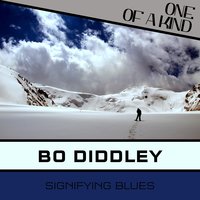 Whoa Mule - Bo Diddley