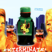 Exterminate - SNAP!, Niki Haris