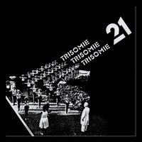 Breaking Down - Trisomie 21