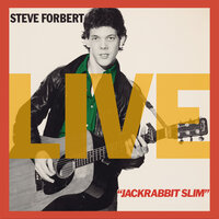The Sweet Love That You Give (Sure Goes A Long, Long Way) - Steve Forbert