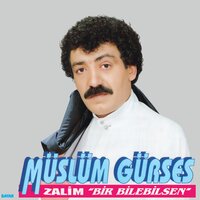 Fıs Fıs - Okay Temiz