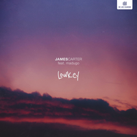 Lowkey - James Carter