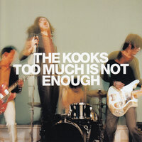 The Kooks