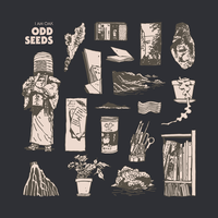 Field Studies - I Am Oak
