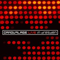 Stranger's Thoughts - Camouflage