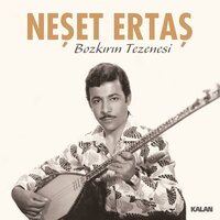 Bir Ayrılık, Bir Yoksulluk, Bir Ölüm - Neşet Ertaş