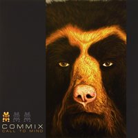 How You Gunna Feel - Commix, Steve Spacek