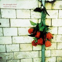Run Me Through - The Pineapple Thief