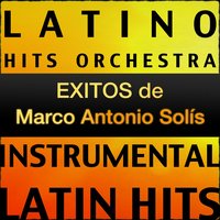 El Nunca Te Olvida - Latino Hits Orchestra