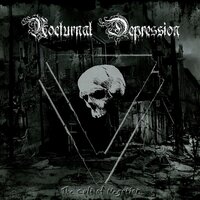 Home Asylum - Nocturnal Depression