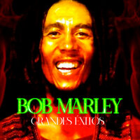 Rainbow Party - Bob Marley