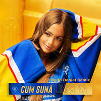 Cum Sună Liniștea - Iuliana Beregoi