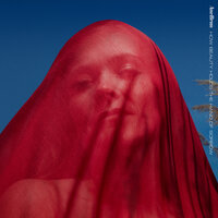 Song For Thrill and Tom - Ane Brun