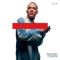 How Long (Reflected) - Avishai Cohen