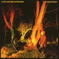 Read It in Books - Echo & the Bunnymen