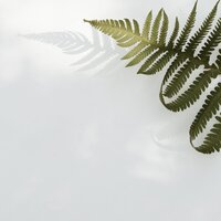 Heaven on the Keys - Echoes of Nature, Relaxing music, Nature Noise