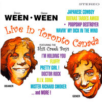 Piano Man - Ween