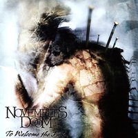 Dark Fields For Brilliance - Novembers Doom