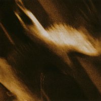 Limbs - Agalloch