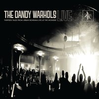 Shakin - The Dandy Warhols