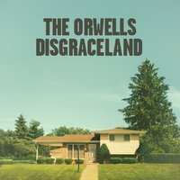 Always N Forever - The Orwells