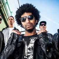 The Qemists
