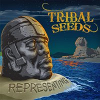Don't Wait - Tribal Seeds