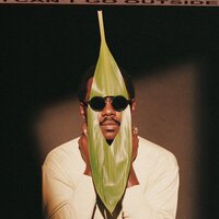 skate depot - Channel Tres