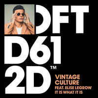 It Is What It Is - Vintage Culture, Elise LeGrow