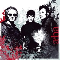 Analogue (All I Want) - a-ha