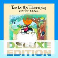 Miles From Nowhere - Cat Stevens