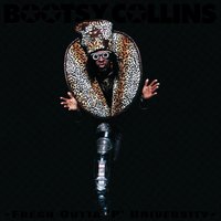 Fragile (So Sensitive) - Bootsy Collins, D MEKA