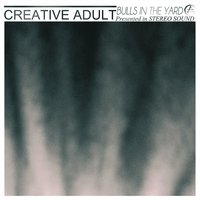 Bulls In The Yard - Creative Adult
