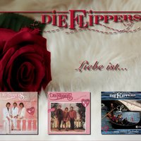 Nachts am Wolgastrand - Die Flippers