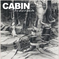 It Is What It Looks Like - Cabin