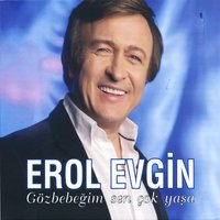 Sensiz Olmuyor - Erol Evgin