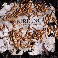 Pure Inc.