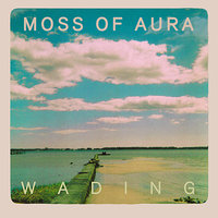 Moss Of Aura