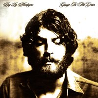 Winter Birds - Ray LaMontagne