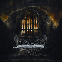 Bobby Marshall - Fei Comodo