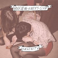Have Fun - Bleeding Knees Club