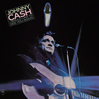 I Don't Think I Could Take You Back Again - Johnny Cash