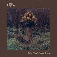 Love at Last Sight - Moi Caprice
